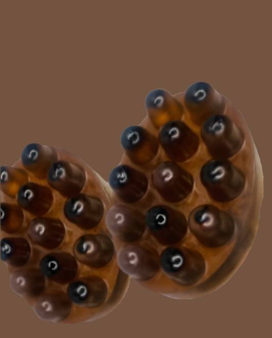 Chebe Shampoo Hair Massage Bars